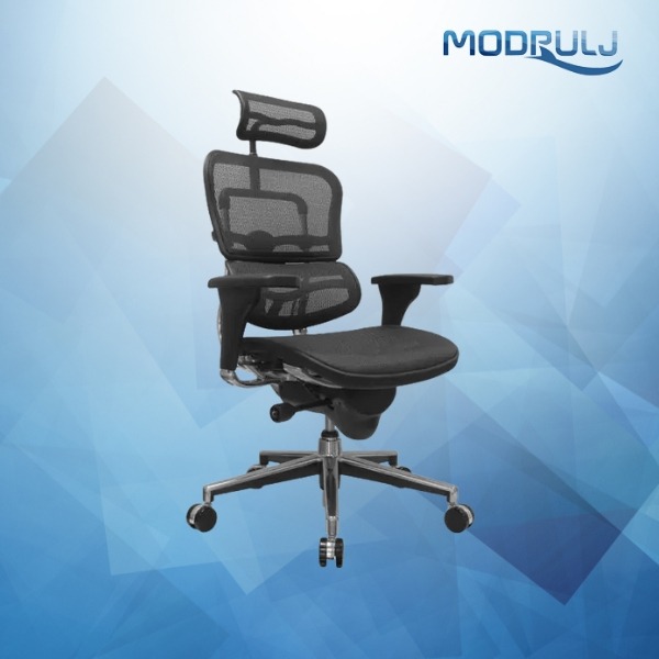 Ergonomska stolica ERGOHUMAN