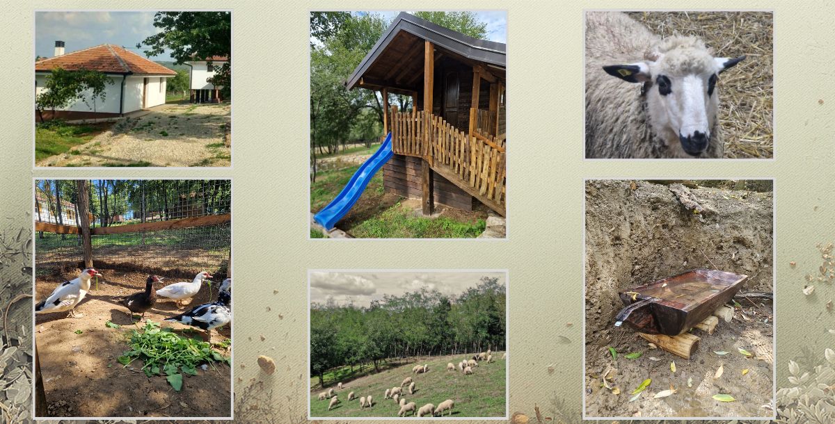 Detalji seoskog imanja u Šumadiji sa smeštajnim objektima farmom domaćih životinja i prirodnim okruženjem pogodnim za tim bilding boravak