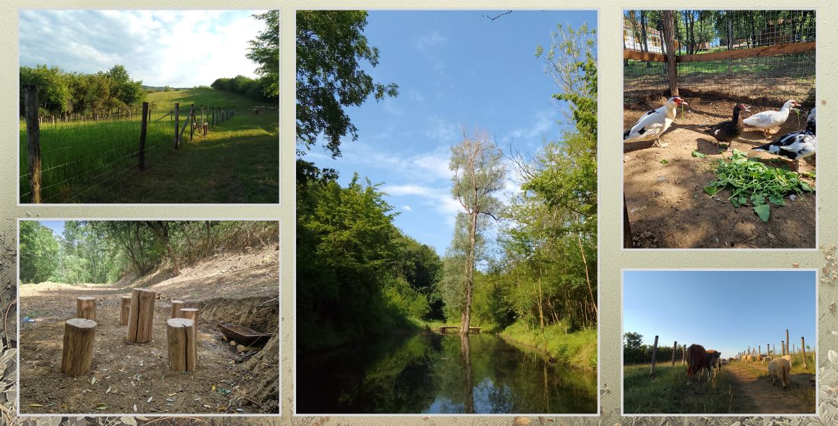 Prirodno okruženje seoskog imanja u Šumadiji sa livadama šumskim stazama vodenim površinama i farmom životinja za tim bilding aktivnosti